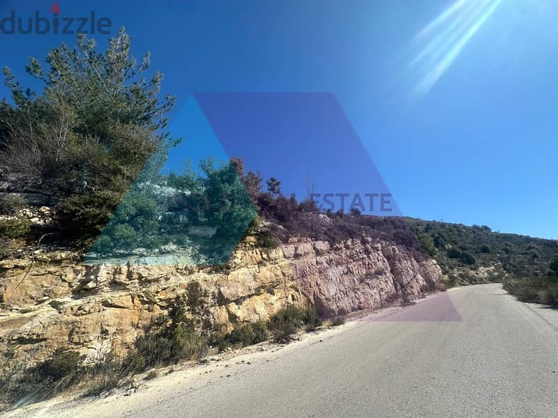 4000 m2 land+open mountain/sea view for sale in Bchalle/Jbeil 1