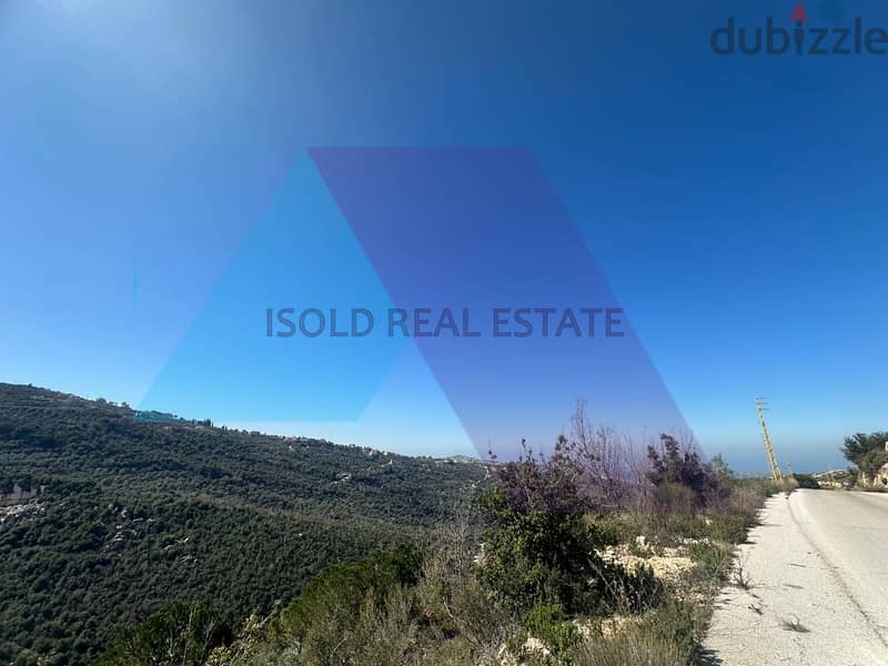 4000 m2 land+open mountain/sea view for sale in Bchalle/Jbeil 2
