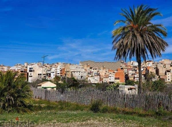 Spain Land plot for sale in Abarán Vega Alta, Murcia Ref#RML-01645 6