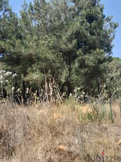 735 SQM  Land in Oyoun Broumana, Metn with Partial View 0