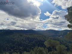 3,000 SQM Land in Oyoun Broumana (Maska and Ghabe) with Mountain View 0