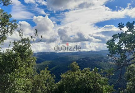 1140 SQM Land in Oyoun Broumana (Maska and Ghabe) with Mountain View