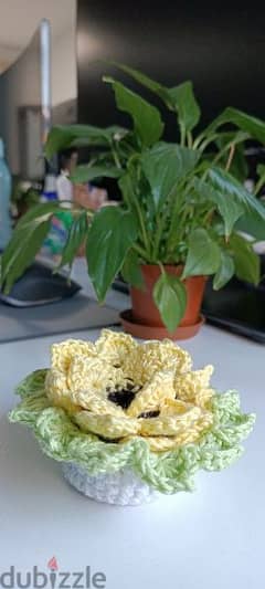 sunflower pot double coaster