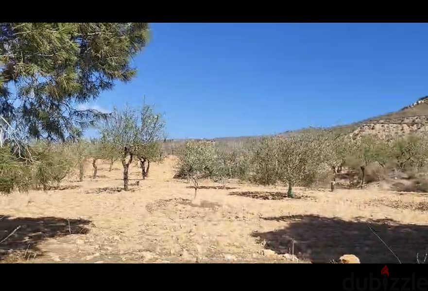 Spain Caserio Tortas, 2 Murcia, land 50,000m with house &garden Ref#29 5