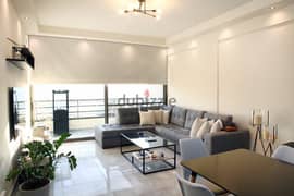 Fully Renovated and Furnished Apartment 0
