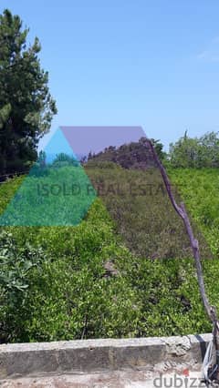 2061 m2 land with 100 m2 house+mountain/sea view for sale in Batroun 0