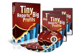 Tiny Reports Big ProfitS 0