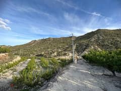 Spain Land plot for sale in Abarán Vega Alta, Murcia Ref#RML-01684 0