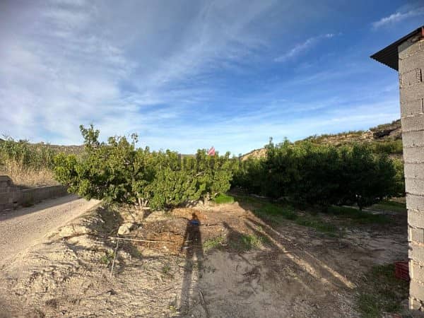 Spain Land plot for sale in Abarán Vega Alta, Murcia Ref#RML-01684 6