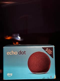 Alexa Echo Dot + LED Light Bulb