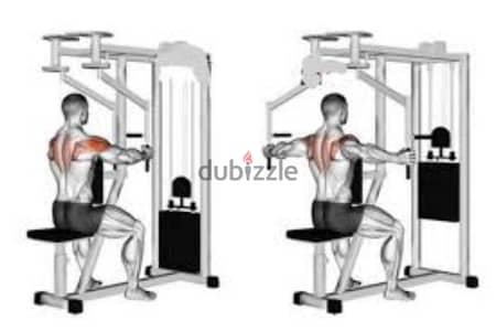 chest fly & Rear delt shoulder machine 03027072 GEO SPORT