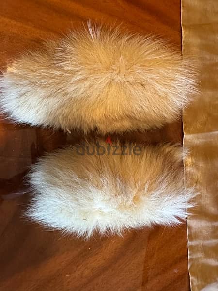 sheepskin rug + badger skin + 2 fox fur real 2