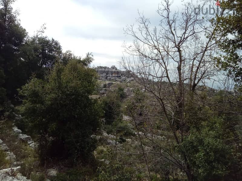 900 Sqm |Land For Sale In Achkout جور البواشق |Mountain & Valleys View 2