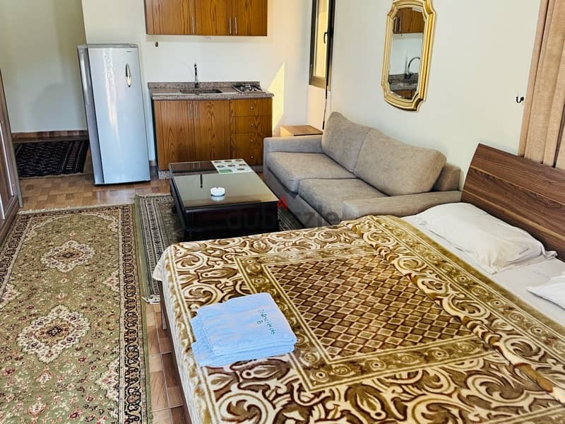 450$Fully Furnished Apartment for rent located in Bsalim 13