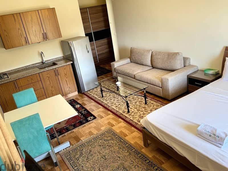 450$Fully Furnished Apartment for rent located in Bsalim 19