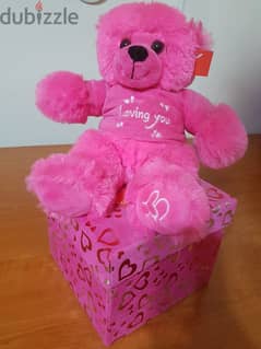 Pink Box with Teddy Bear