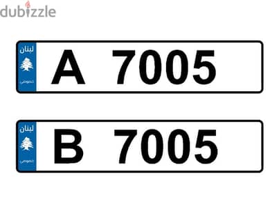 لوحتان A و B "نفس الرقم" 7005 تباعان معًا