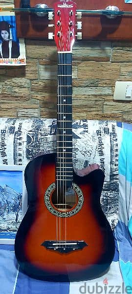 Acoustic guitar brand Wolf 1