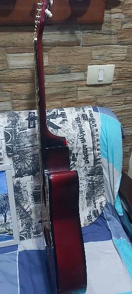 Acoustic guitar brand Wolf 3
