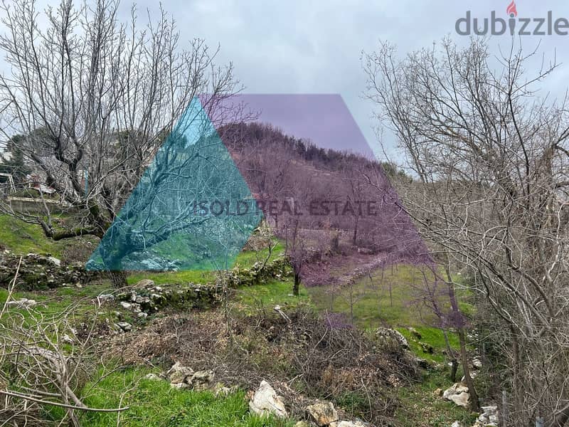 A 1360 m2 land having an open mountain view for sale in Aanaya/Jbeil 4