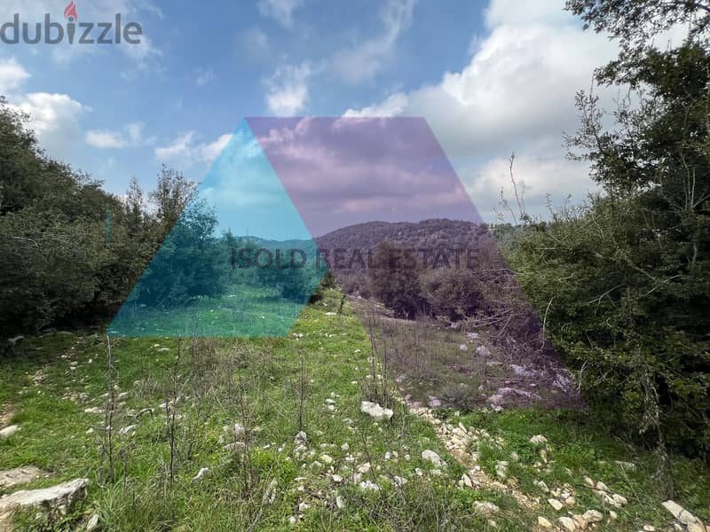 A 7700 m2 land having an open mountain view for sale in Mechmech/Jbeil 1