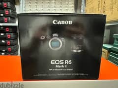 Canon Camera EOS R6 RF 24-105mm F4-7.1 IS STM Kit