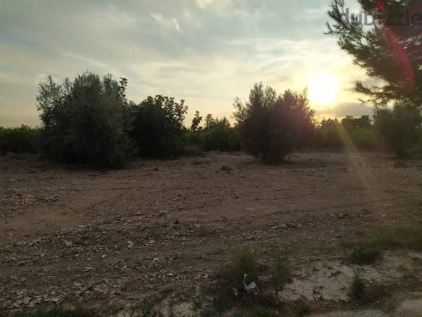 Spain 400 sqm land plot in Murcia nice location Ref#3440-05591 1
