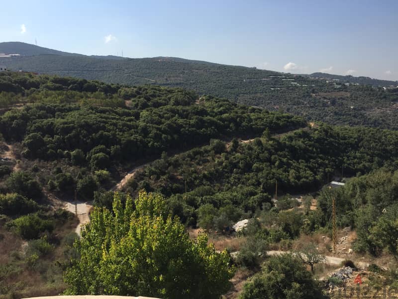 Land in Beit Hebbak-Jbeil ارض في بيت حباق-جبيل 1