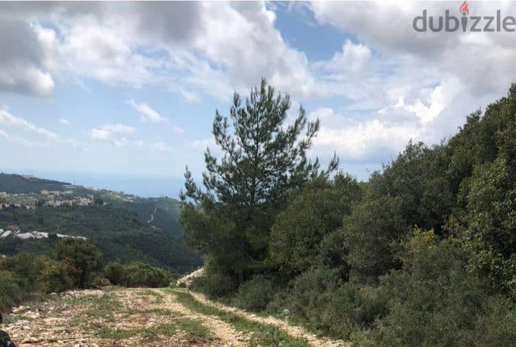 Land in Beit Hebbak-Jbeil ارض في بيت حباق-جبيل 2