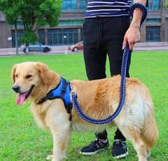 strong dog harness