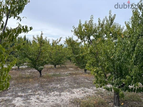 Spain Land plot for sale in Cieza, great location Ref#RML-01670 3