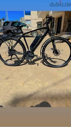 Prophete ebike made in germany in excellent condition