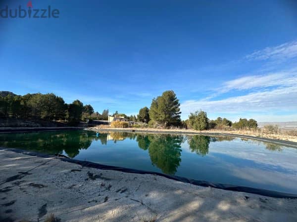 Spain 45,000 sqm land in Cieza with house & warehouse Ref#RML-01890 14