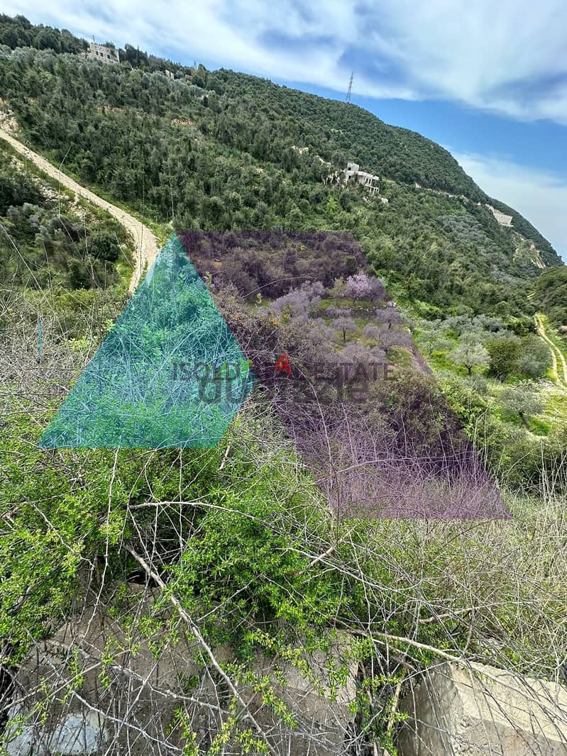 A 2193 m2 land having an open mountain view for sale in Eddeh/Batroun 5