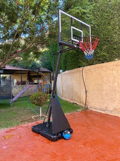 movable hoop basketball