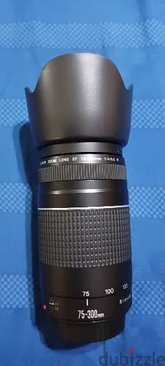 canon lens 75-300mm