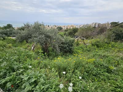 RWB288MT - Land for sale in Amchit Jbeil