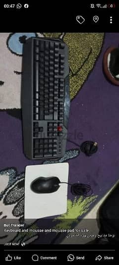 keyboards and moussed and mousse pad for sale.
