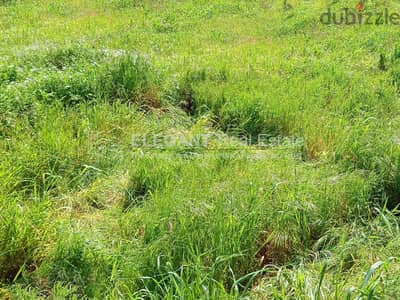 Beautiful Land | Green Neighborhood | Calm Surrounding