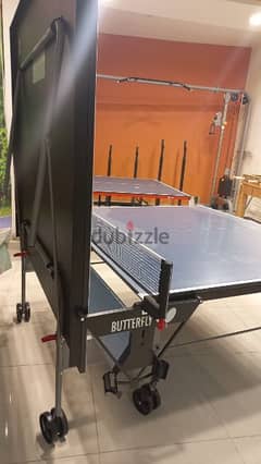 Butterfly indoor table tennis 0