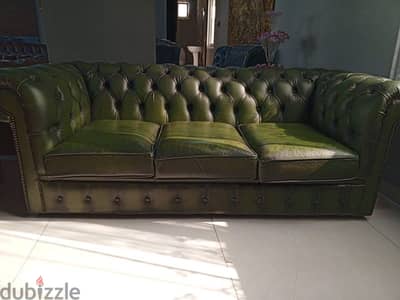 chesterfield sofa tree seaters genuine leather buffalo