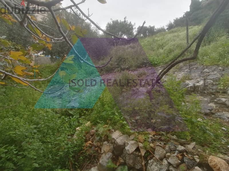 A 380 m2 Single House with 650m2 land for sale in the heart of Batroun 4