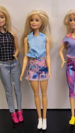 Barbie pet store