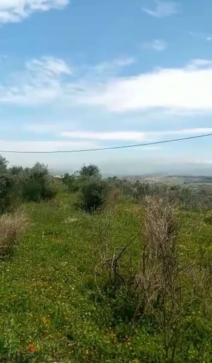 Land for Sale in Bejdarfel - Batroun 0