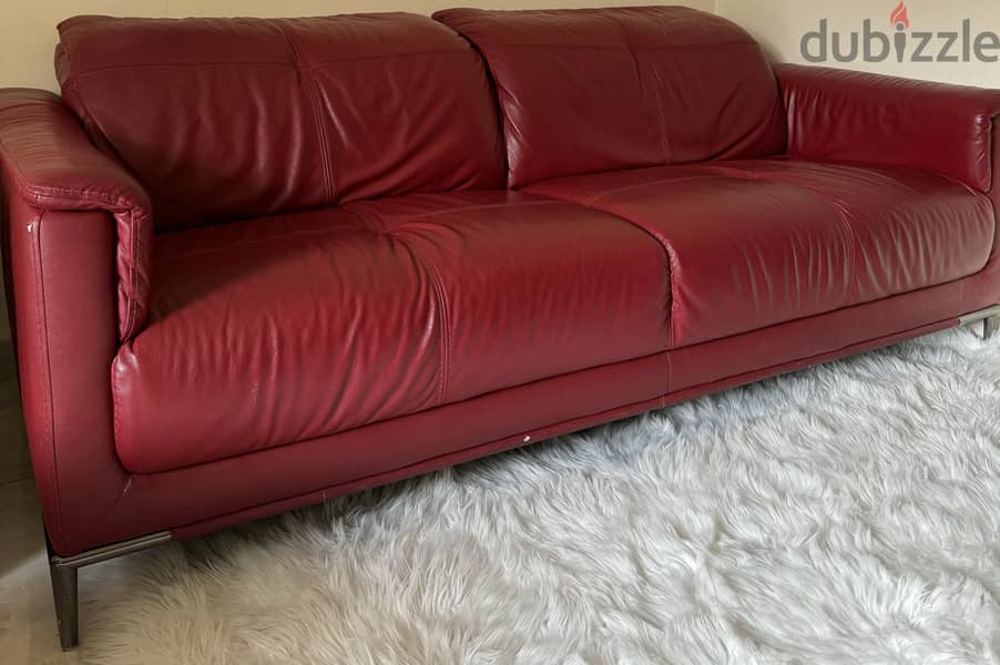 Genuine leather sofa for offices and studios, two seats 1