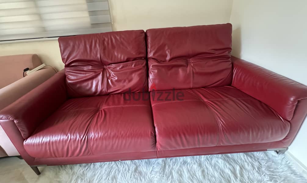 Genuine leather sofa for offices and studios, two seats 3
