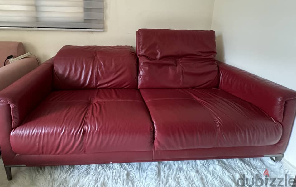 Genuine leather sofa for offices and studios, two seats 5