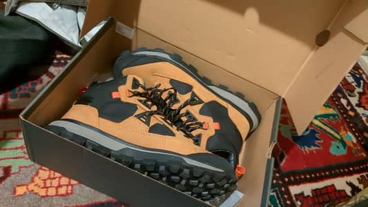 Timberland still in box brand new