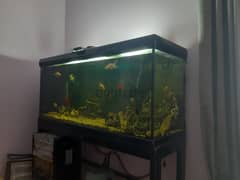 aquarium 4sale 0