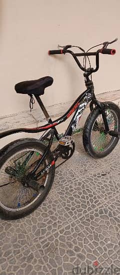 BMX fat bike